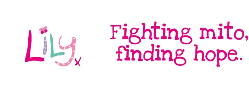 The Lily Foundation